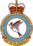 425 air squadron trans